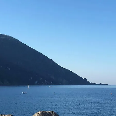 Design Camogli