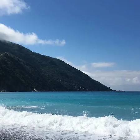 Design * Camogli